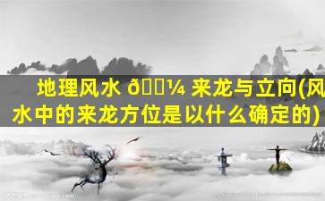 地理风水 🌼 来龙与立向(风水中的来龙方位是以什么确定的)